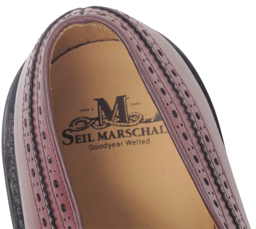 Men's shoe  SHORT WING BLUCHER 